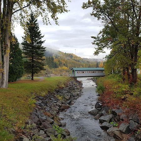 Condo-Chalet De La Vallee D'Edouard LʼAnse-Saint-Jean Eksteriør bilde