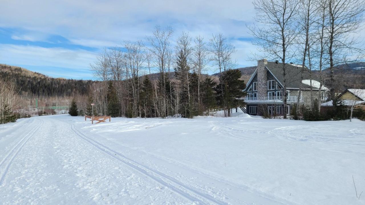 Condo-Chalet De La Vallee D'Edouard LʼAnse-Saint-Jean Eksteriør bilde