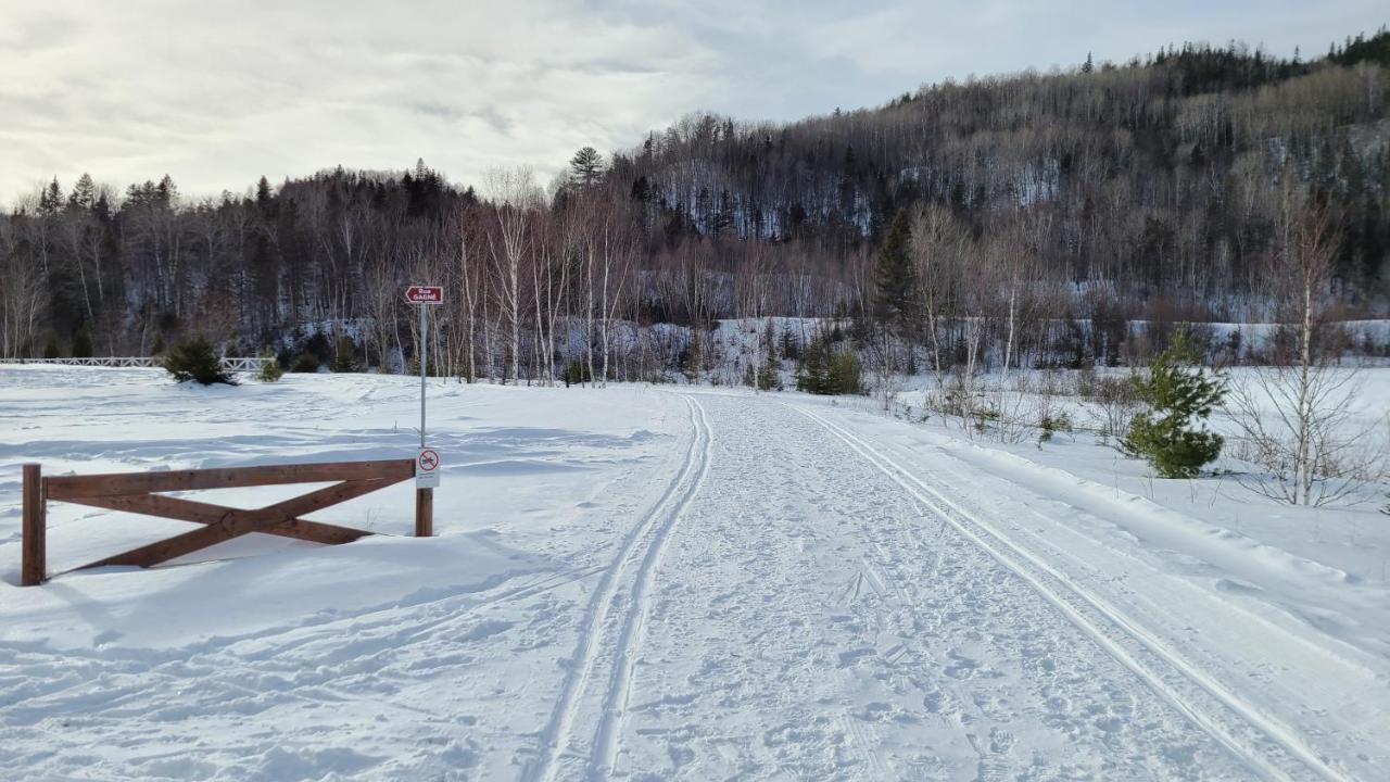 Condo-Chalet De La Vallee D'Edouard LʼAnse-Saint-Jean Eksteriør bilde