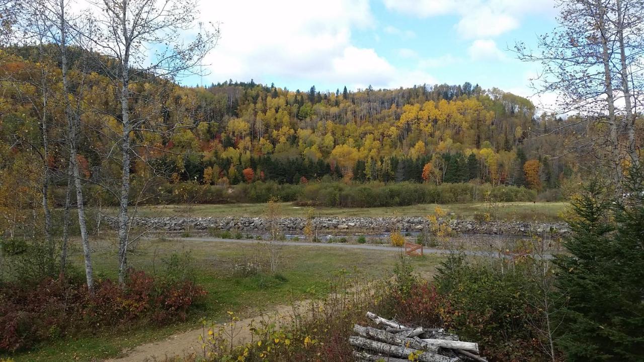 Condo-Chalet De La Vallee D'Edouard LʼAnse-Saint-Jean Eksteriør bilde