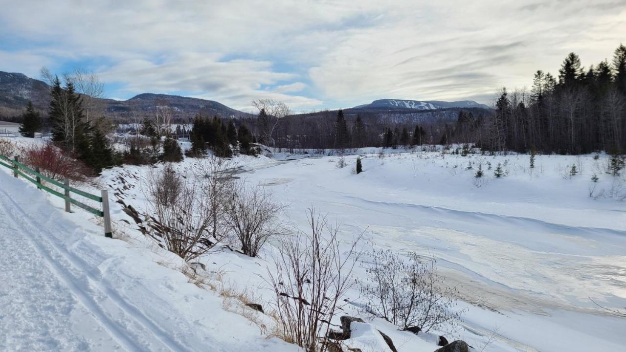 Condo-Chalet De La Vallee D'Edouard LʼAnse-Saint-Jean Eksteriør bilde