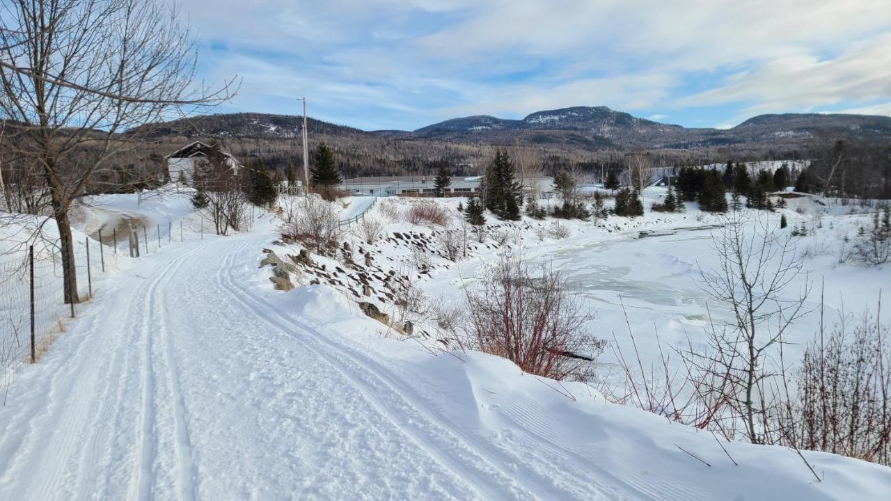 Condo-Chalet De La Vallee D'Edouard LʼAnse-Saint-Jean Eksteriør bilde