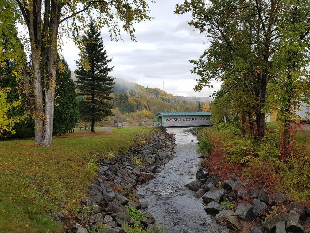 Condo-Chalet De La Vallee D'Edouard LʼAnse-Saint-Jean Eksteriør bilde